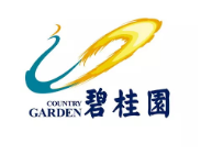福建碧桂园地产